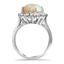 The Caspian Ring, smallside view