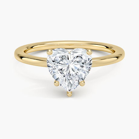 Flush Fit Solitaire Ring- Brilliant Earth
