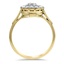 The Heather Ring, smallside view