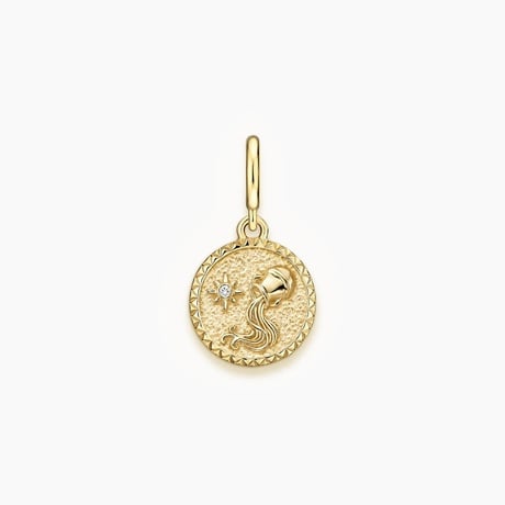 Zodiac Diamond Aquarius Charm
