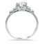 The Jena Ring, smallside view