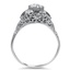 The Faunus Ring, smallside view