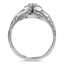The Adrienne Ring, smallside view