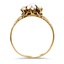 The Amberwood Ring, smallside view