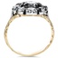The Teela Ring, smallside view
