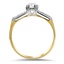 The Redford Ring, smallside view