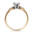 The Verena Ring, smallside view