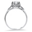 The Florene Ring, smallside view