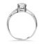 The Britt Ring, smallside view
