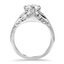 The Donetta Ring, smallside view