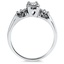 The Niallan Ring, smallside view