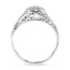 The Jonnie Ring, smallside view