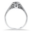 The Cicely Ring, smallside view