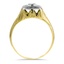The Melissa Ring, smallside view