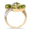The Raelene Ring, smallside view