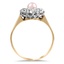 The Cinta Ring, smallside view