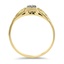 The Trudie Ring, smallside view