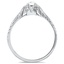 The Starling Ring, smallside view