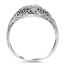 The Dulcina Ring, smallside view