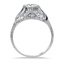 The Leida Ring, smallside view
