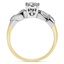 The Coeur Ring, smallside view