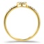 The Kaylin Ring, smallside view