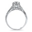 The Albion Ring, smallside view