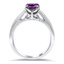 The Allyn Ring, smallside view
