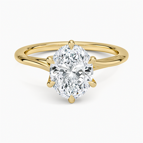 Delilah Twist Solitaire Ring - Brilliant Earth