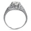 The Vivian Ring, smallside view