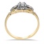 The Floretta Ring, smallside view