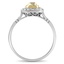 The Sorrel Ring, smallside view