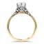The Toreno Ring, smallside view