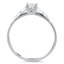 The Princeton Ring, smallside view
