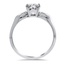 The Estrella Ring, smallside view
