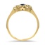The Erminia Ring, smallside view