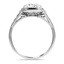 The Eleonore Ring, smallside view