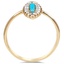 The Delaney Ring, smallside view