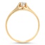 The Lyman Ring, smallside view