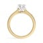 Split Halo Diamond Mixed Metal Ring, smallview