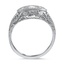 The Kenia Ring, smallside view