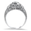 The Jan Ring, smallside view
