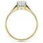 The Maayan Ring, smallside view