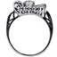 The Rialto Ring, smallside view