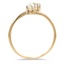 The Cera Ring, smallside view