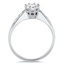 The Tilden Ring, smallside view