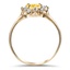 The Nottinghill Ring, smallside view