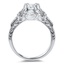 The Dida Ring, smallside view