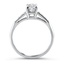 The Ingo Ring, smallside view