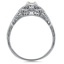 The Chelle Ring, smallside view